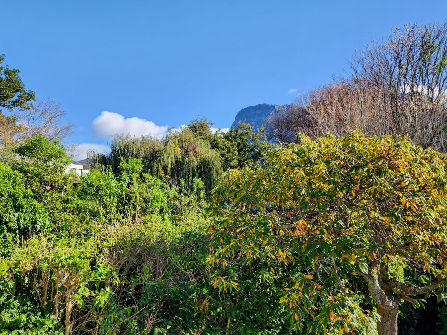 3 Bedroom Property for Sale in Newlands Western Cape